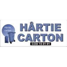 Hartie carton 25x10cm